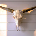ADG42 Decorative Steer Skull and Horns Western Wall Decor by Active Doodie Gear­®