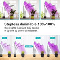 Adjustable 3-Head Grow Lights for Indoor Plants with Timer by DailySale