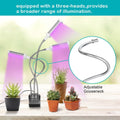 Adjustable 3-Head Grow Lights for Indoor Plants with Timer by DailySale