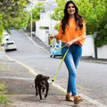 Adjustable Dog Choke Collar Training Chain by DailySale