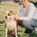 Adjustable Dog Choke Collar Training Chain by DailySale