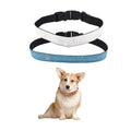Adjustable Polyester Dog Collar - 6 Sizes by INNOSUB USA