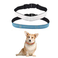 Adjustable Polyester Dog Collar - 6 Sizes by INNOSUB USA