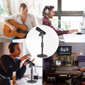 AGPtEK Desk Microphone Stand with Mic by DailySale
