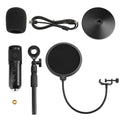 AGPtEK USB Condenser Microphone by DailySale