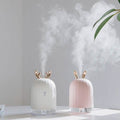 Air Humidifier Essential Oils Diffuser for Aromatherapy by DailySale