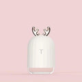Air Humidifier Essential Oils Diffuser for Aromatherapy by DailySale