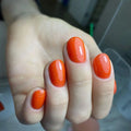 Akzentz Luxio - Calypso by The Nail Hub