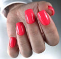 Akzentz Luxio - Cosmo by The Nail Hub