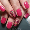 Akzentz Luxio - Legend by The Nail Hub