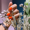 Akzentz Luxio - Pulse by The Nail Hub