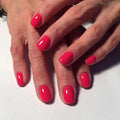 Akzentz Luxio - Swan by The Nail Hub