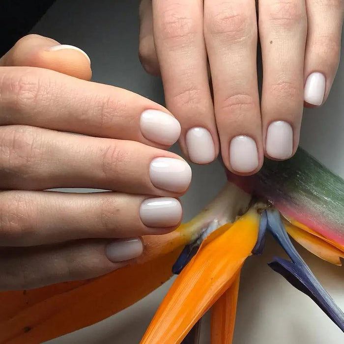Akzentz Pro-Formance Hard Gel - Trinity Shades - Cool SC2 by The Nail Hub