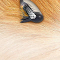 Allstar Innovations Electric Pet Grooming Comb by DailySale