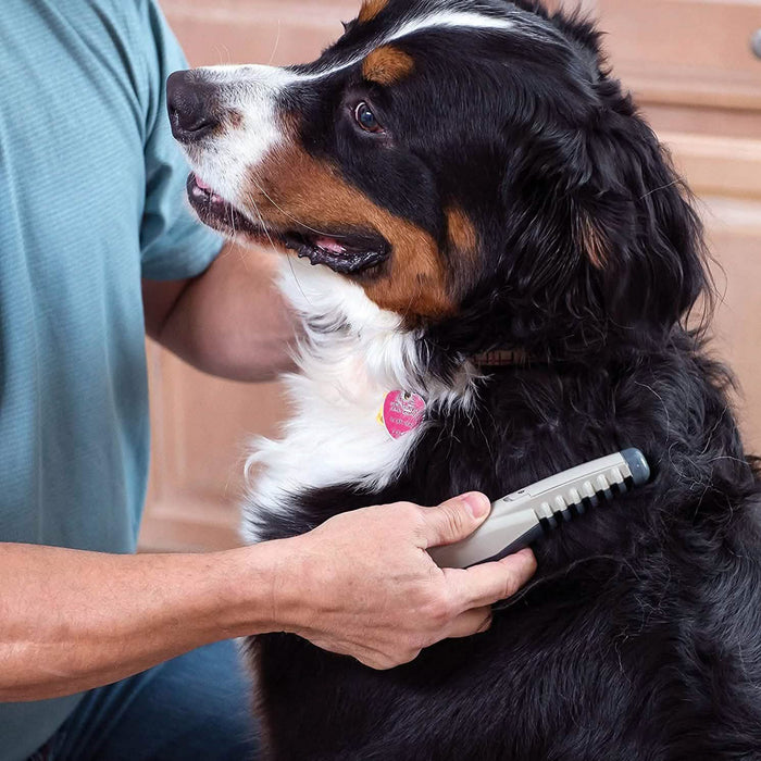 Allstar Innovations Electric Pet Grooming Comb by DailySale