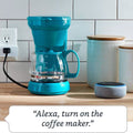 Amazon Wi-Fi Smart Plug by DailySale