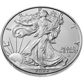 American Silver Eagle 1 oz Random Year by DailySale