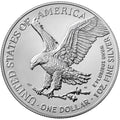 American Silver Eagle 1 oz Random Year by DailySale