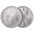 American Silver Eagle 1 oz Random Year by DailySale