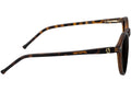 Apollo Premium by Glassy Eyewear