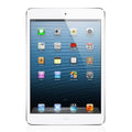Apple iPad Mini 16GB Wifi (Refurbished) by DailySale