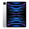 Apple iPad Pro 11 in. 4th Gen (2022) Refurbished - Fair Condition by Texas Depot