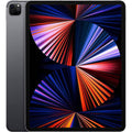 Apple iPad Pro 5th Gen 12.9" Gray 1TB WiFi + 4G Cellular (Refurbished) by DailySale