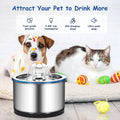Automatic Pet Water Fountain by DailySale