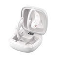 B10 TWS Earhook Sports Fitness Workout Headphones by DailySale
