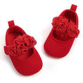 Baby Girls Flat Shoes by DailySale