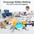 Baby Toys Infant Crawling Crab by DailySale