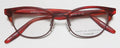 Barton Perreira Estelle Eyeglasses by ModaFrames