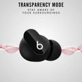Beats True Wireless Noise Cancelling Earbuds by DailySale