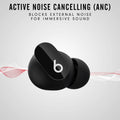 Beats True Wireless Noise Cancelling Earbuds by DailySale