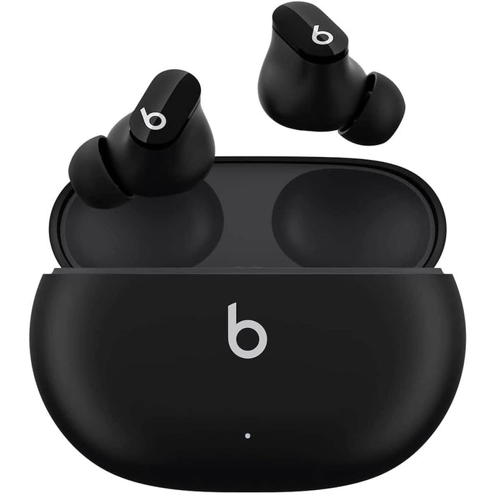 Beats True Wireless Noise Cancelling Earbuds by DailySale