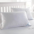 Beauty Sleep 100% Cotton-Covered Duck Feather Pillows by DailySale