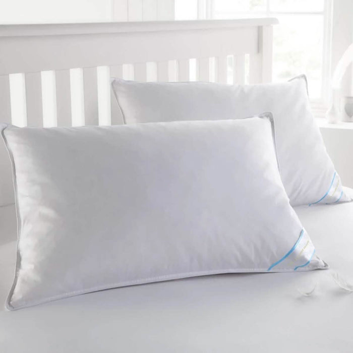 Beauty Sleep 100% Cotton-Covered Duck Feather Pillows by DailySale