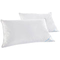 Beauty Sleep 100% Cotton-Covered Duck Feather Pillows by DailySale