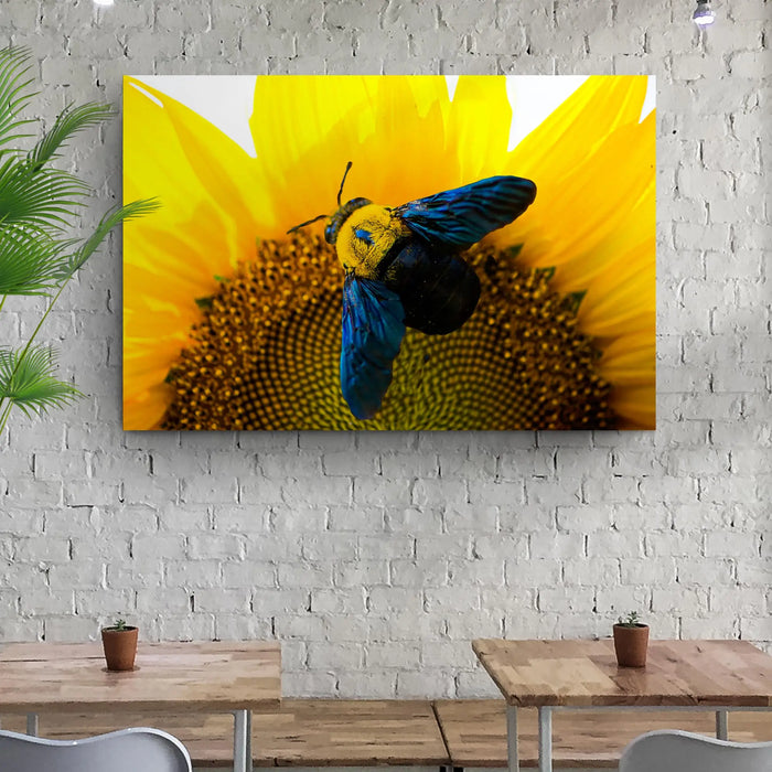 Bee Hoverfly Above A Sunflower Canvas Wall Art by Tailored Canvases
