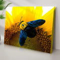 Bee Hoverfly Above A Sunflower Canvas Wall Art by Tailored Canvases