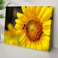 Bee On Sunflower Canvas Wall Art by Tailored Canvases