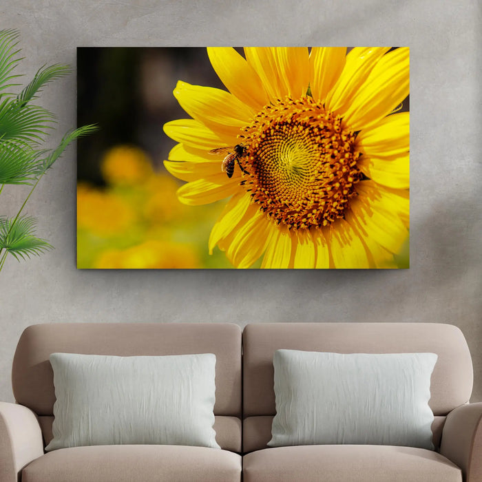 Bee On Sunflower Canvas Wall Art by Tailored Canvases