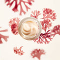 Shiseido Benefiance Wrinkle Smoothing Cream by Nava Beauty