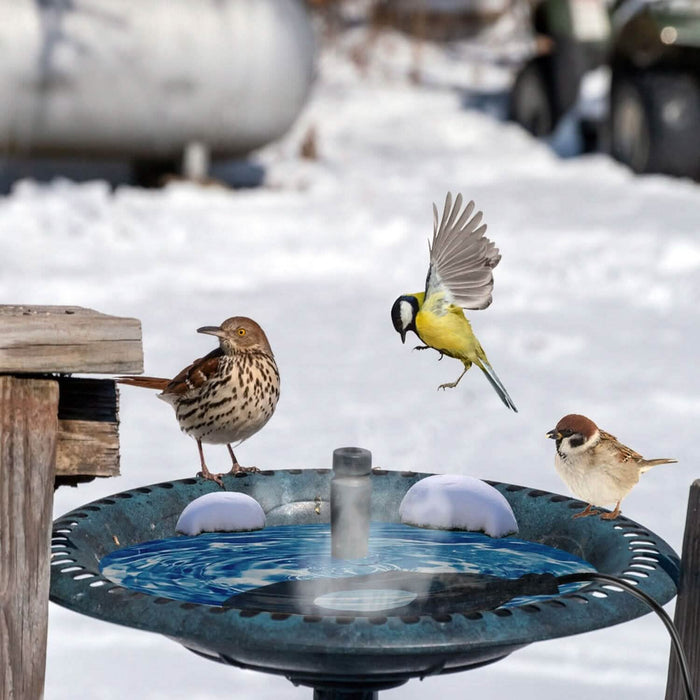Bird Bath Deicer Outdoor Winter Water Heater Thermostatically Controlled by DailySale