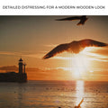 Birds On Magical Sunrise Canvas Wall Art by Tailored Canvases