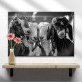 Black And White Baby Goats Canvas Wall Art by Tailored Canvases
