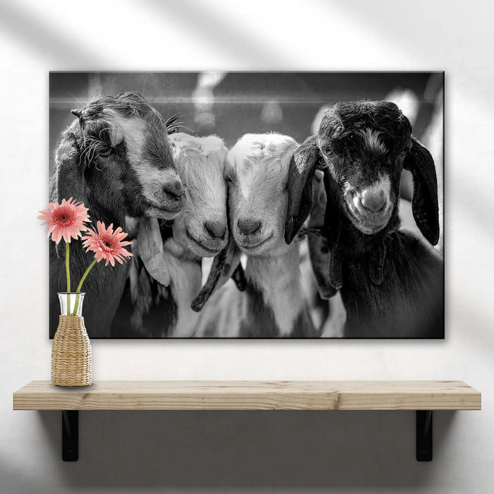 Black And White Baby Goats Canvas Wall Art by Tailored Canvases