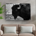Black and White Bison Canvas Wall Art by Tailored Canvases