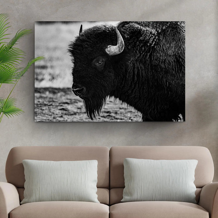 Black and White Bison Canvas Wall Art by Tailored Canvases