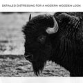 Black and White Bison Canvas Wall Art by Tailored Canvases